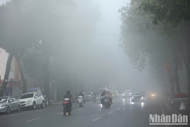 Trẻ em, phụ nữ, phụ nữ mang thai, người già, người có thể trạng yếu, người đang mang bệnh là những đối tượng có nguy cơ cao bị suy giảm sức khỏe bởi ô nhiễm không khí.
