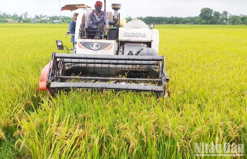 Gio Linh đạt chuẩn nông thôn mới vào năm 2025.