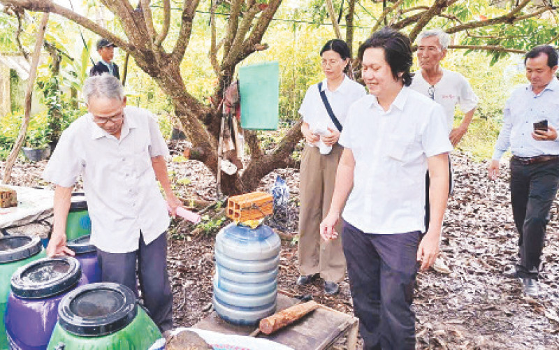Các chuyên gia tham quan hộ nông dân trồng nhãn huyện Châu Thành áp dụng mô hình IMO.