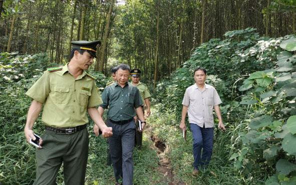 Cán bộ Chi cục Kiểm lâm Hải Dương thường xuyên kiểm tra công tác bảo vệ và phòng chống cháy rừng.