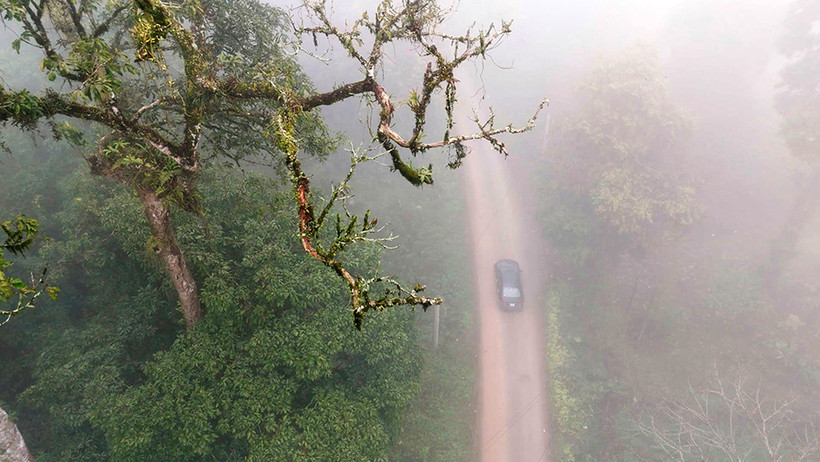 Cảnh sắc rừng già Mộc Châu trong phim. (ẢNh: Nhà sản xuất cung cấp)