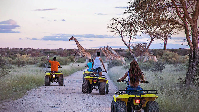Khách du lịch quốc tế ngắm động vật hoang dã tại Nam Phi. (Ảnh TRAVELDAILYNEWS INTERNATIONAL)