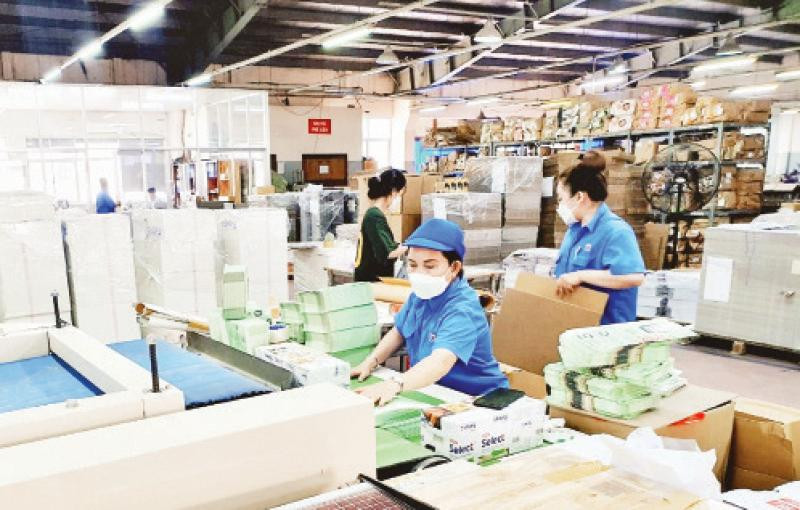 Công ty cổ phần In số 7 ứng hai tháng tiền thưởng Tết Nguyên đán 2023 cho người lao động ngay trong dịp Tết dương lịch.