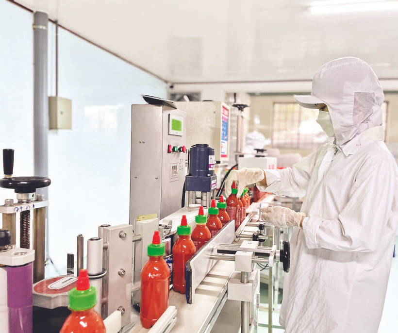 Doanh nghiệp sản xuất tương ớt Chilica khai thác thêm nhiều thị trường mới để có đơn hàng, giữ việc cho lao động.