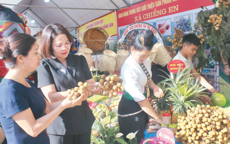 Sản phẩm nhãn Sông Mã được huyện tổ chức giới thiệu, quảng bá tại các hội chợ, sự kiện trong và ngoài tỉnh.