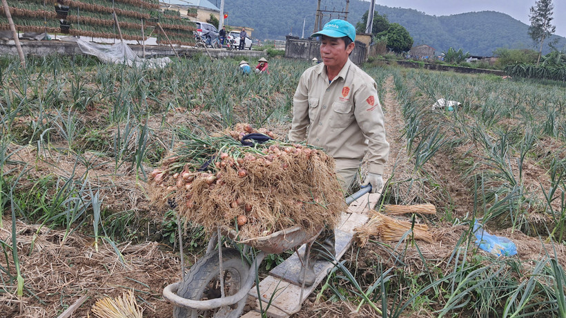 Mục tiêu của xây dựng nông thôn mới năm 2023 là cả nước có khoảng 78% xã đạt chuẩn nông thôn mới, trong đó có khoảng 25% số xã đạt chuẩn nâng cao và kiểu mẫu.