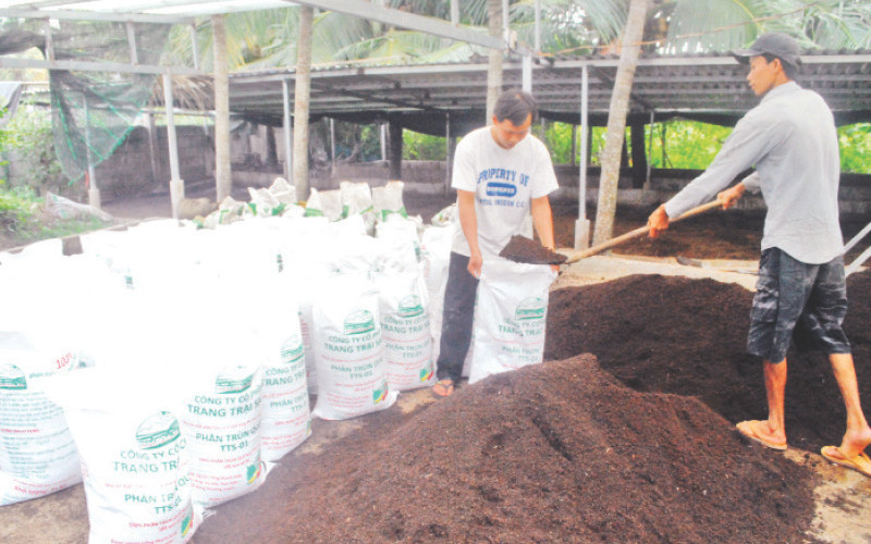 Mô hình liên kết nuôi trùn quế theo nguyên lý kinh tế tuần hoàn tại trang trại của ông Nguyễn Công Vinh (huyện Châu Thành) tỉnh Tiền Giang.