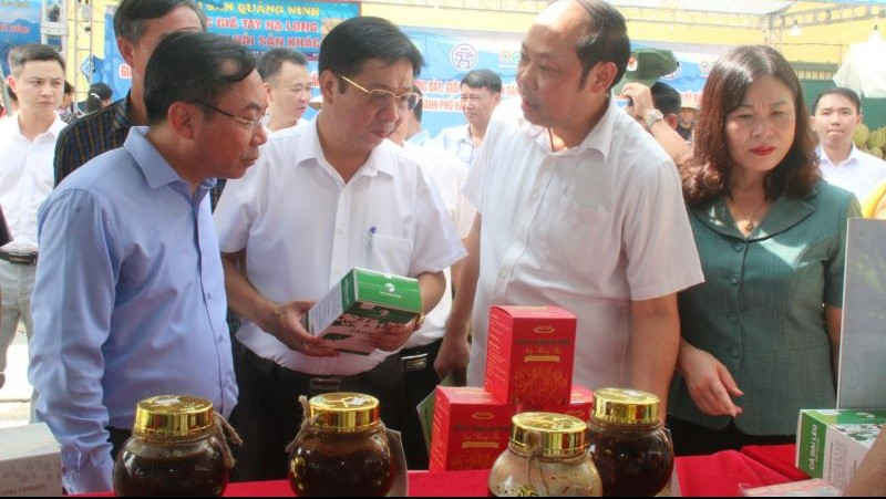 Tuần hàng lần này có hơn 40 doanh nghiệp, chủ thể, hợp tác xã đến từ Hà Nội và 18 tỉnh, thành phố khác.