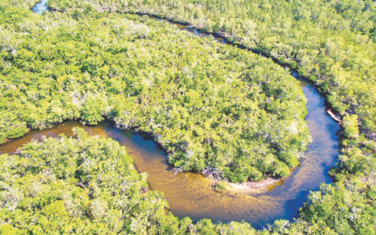 Một đoạn sông Rạch Tràm nhìn từ trên cao.