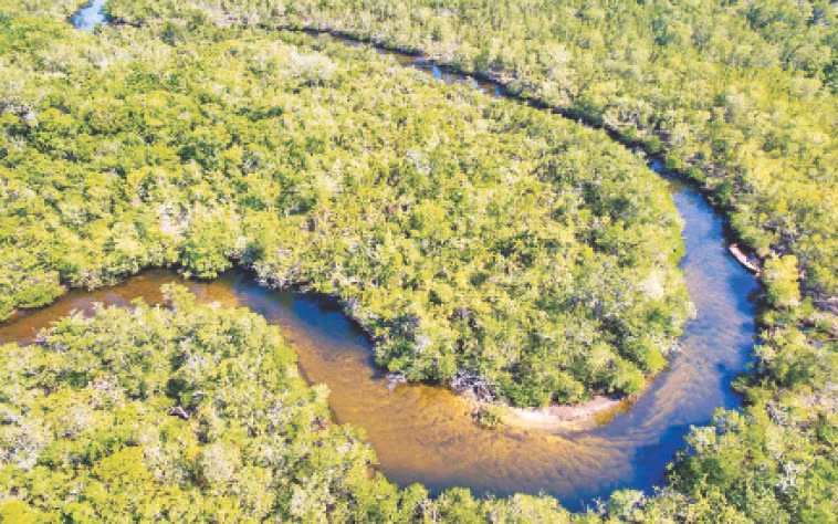 Một đoạn sông Rạch Tràm nhìn từ trên cao.