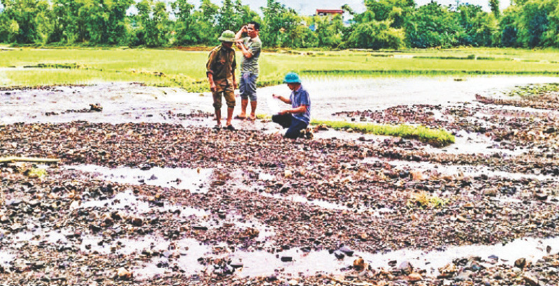 Hàng chục ha lúa ở xã Quy Kỳ, huyện Định Hóa bị mưa lũ vùi lấp, khó khắc phục.