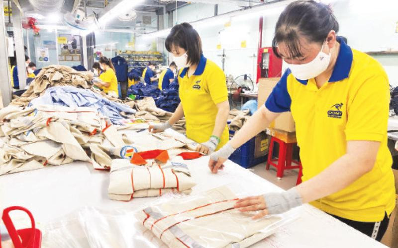 Đóng gói sản phẩm may mặc tại Công ty cổ phần quốc tế Dony (huyện Bình Chánh, Thành phố Hồ Chí Minh).