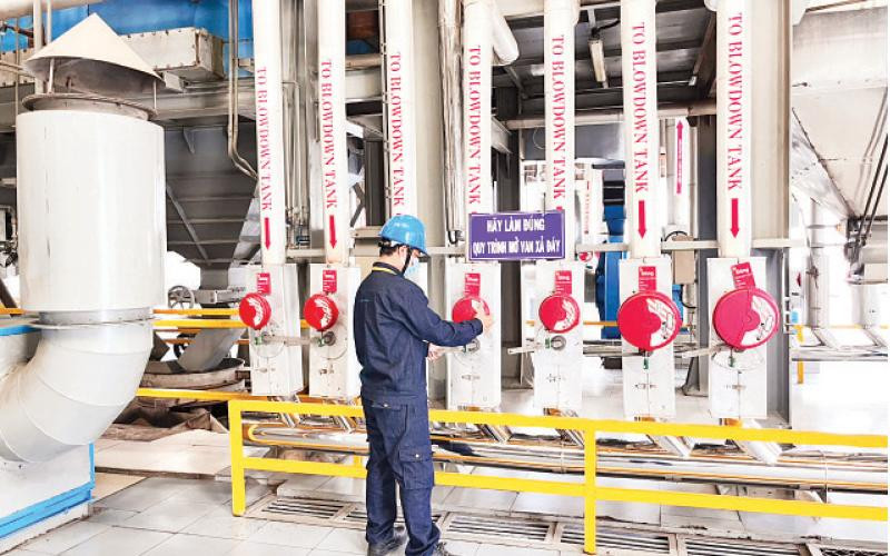 Việc chia sẻ hệ thống lò hơi giữa ba công ty tại Khu công nghiệp Hiệp Phước đã góp phần mang lại hiệu quả kinh tế, sử dụng tiết kiệm tài nguyên.