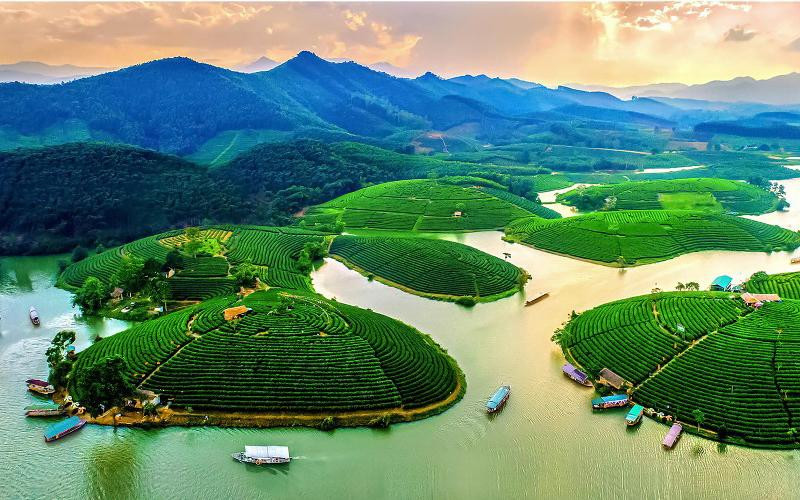 Đảo chè Thanh Chương (Nghệ An) một điểm đến hấp dẫn du khách. (Ảnh QUANG DŨNG)