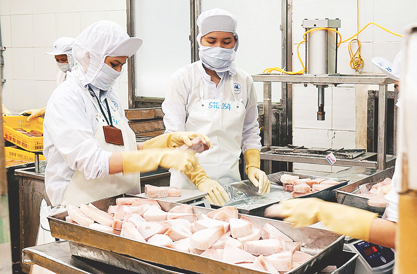 Xuất khẩu thủy sản đạt 10 tỷ USD năm 2024. Ảnh: NAM ANH