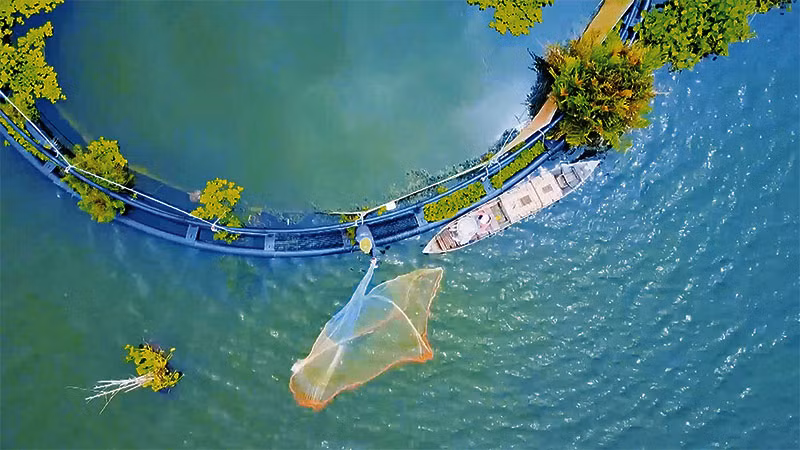 Hấp dẫn Búng Bình Thiên