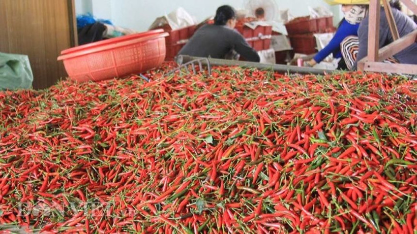 Bộ Nông nghiệp và Môi trường đã ký các nghị định thư về xuất khẩu ớt, chanh leo, tổ yến, cám gạo sang Trung Quốc.