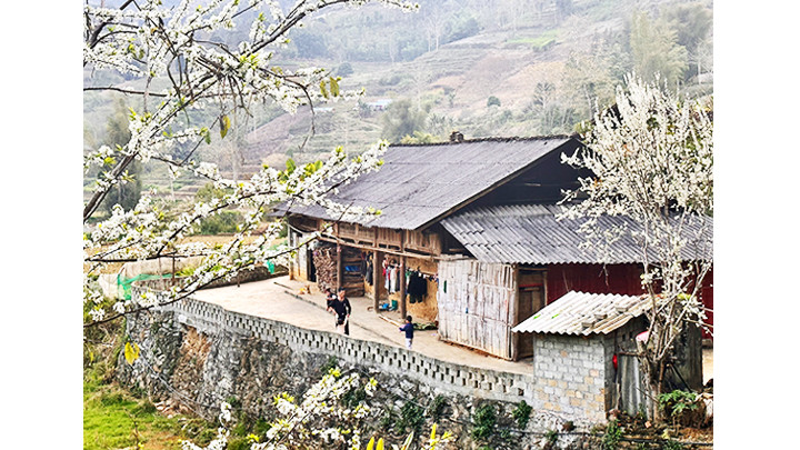 Những mái nhà ngói đang dần biến mất.