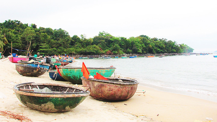 Rừng làng Nam Ô được giữ gìn qua bao thế hệ.