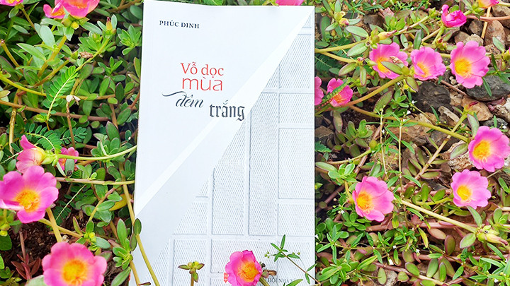 Người đàn bà đòi bước qua vũ trụ