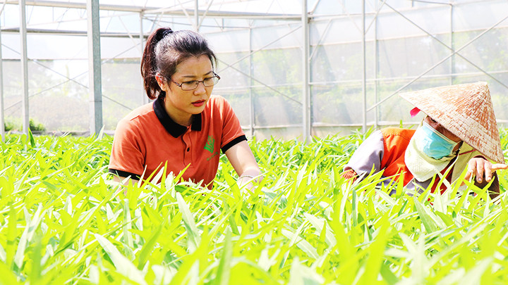 Nhu cầu nhân lực cho ngành nông - lâm - ngư nghiệp đang tăng cao. Ảnh: TTXVN