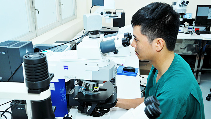 Mất rất nhiều thời gian làm các thủ tục hành chính để giải ngân kinh phí cho các đề tài khoa học. Ảnh: NAM ANH