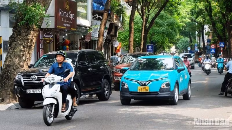 Lái xe là công việc nặng nhọc, căng thẳng thần kinh, cần được nghỉ ngơi hợp lý để bảo đảm sức khỏe.