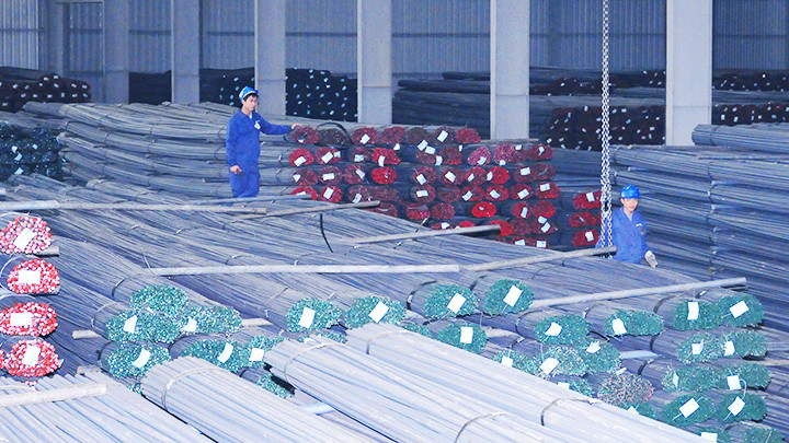 Nhiều ngành hàng của Việt Nam đã phải đối mặt với sự cạnh tranh gay gắt từ hàng hóa nhập khẩu. Ảnh: NGUYỆT ANH