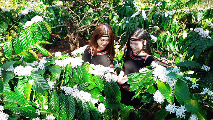 Mùa tuyết trắng cao nguyên