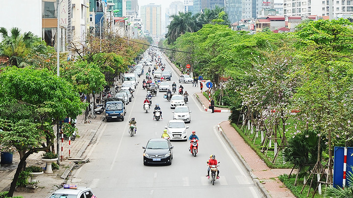 Trồng mới nhiều cây xanh đô thị