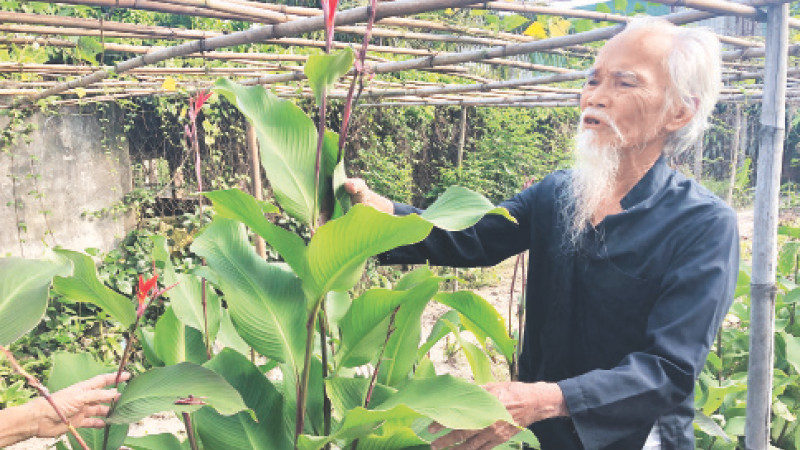 Đồng chí Lê Cơ, đảng viên bí mật ở Tua Hai năm 1960, đang chăm sóc vườn thuốc nam của gia đình.