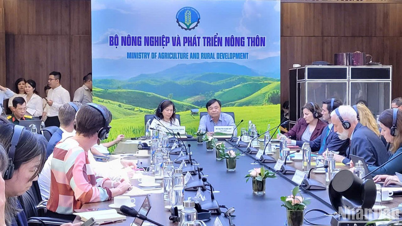 Sáng 9/9, Văn phòng Đối tác giảm nhẹ rủi ro thiên tai (Đối tác GNRRTT) đã tổ chức cuộc họp chia sẻ thông tin tình hình thiên tai khẩn cấp về cơn bão số 3 và xây dựng kế hoạch đánh giá nhanh thiệt hại do bão.