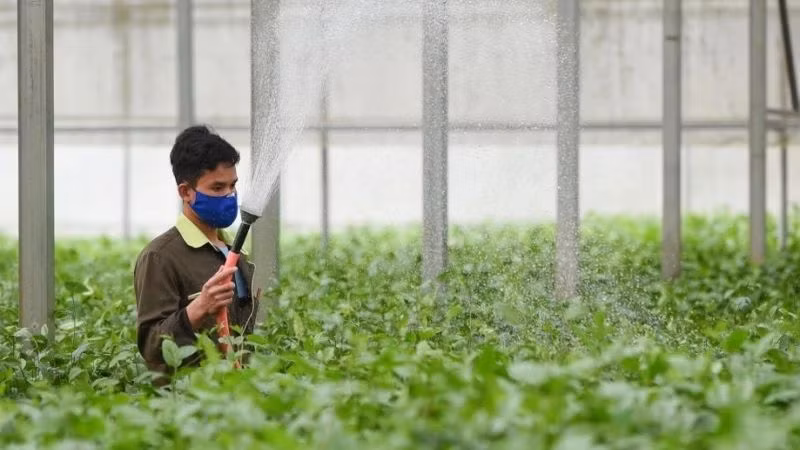 Nông nghiệp Việt Nam đang đối mặt với các thách thức lớn như biến đổi khí hậu, với dự báo khu vực đồng bằng sông Cửu Long - vựa lúa lớn nhất cả nước - sẽ mất từ 500.000 đến 1 triệu ha đất nông nghiệp vào năm 2050.