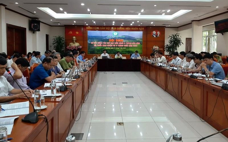 Ngành lâm nghiệp đối mặt nhiều thách thức trong 6 tháng đầu năm