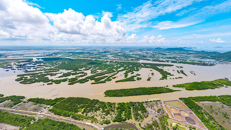 Đất Nhà nước quản lý ở đầm Đông Hồ bị nhiều người lấn chiếm.