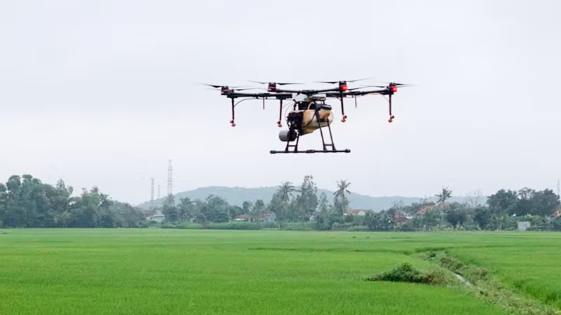 Ứng dụng thiết bị bay không người lái chăm sóc lúa trên cánh đồng của Hợp tác xã dịch vụ nông nghiệp Hòa Quang Bắc, huyện Phú Hòa.