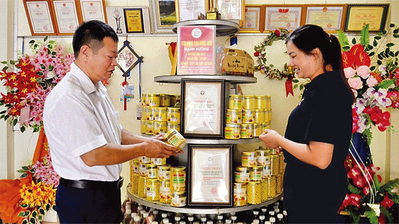 Đầu tư, chế biến sâu các sản phẩm từ dược liệu ở Hợp tác xã Mạnh Hương.