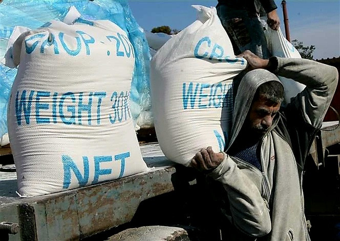 Người dân Palestine nhận lương thực viện trợ nhân đạo tại trại tị nạn ở Rafah, miền Nam Dải Gaza, giáp giới với Ai Cập. (Ảnh: AFP/TTXVN)