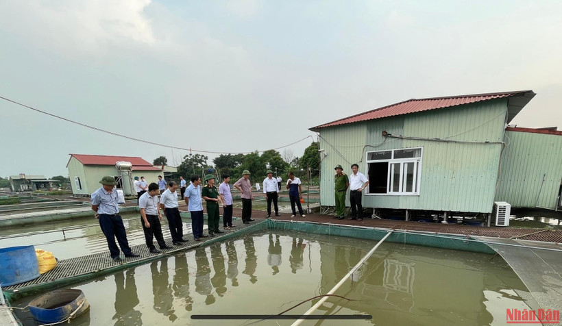 Lãnh đạo tỉnh Hải Dương kiểm tra việc nuôi cá lồng ở phường Nam Đồng thành phố Hải Dương