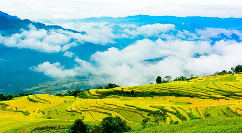 Ruộng bậc thang Hồng Thái vào mùa lúa chín. (Ảnh: mytuyenquang.vn)