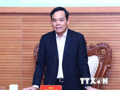 Phó Thủ tướng Trần Lưu Quang là Tổ trưởng Tổ công tác đặc biệt của Thủ tướng . (Ảnh: Lâm Khánh/TTXVN)