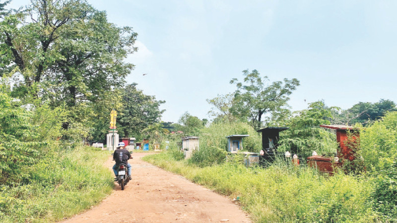 Quận Bình Tân tập trung đẩy nhanh tiến độ di dời nghĩa trang Bình Hưng Hòa.