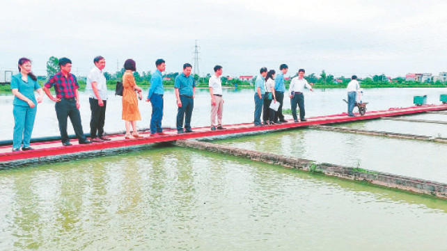 Mô hình nuôi cá “sông trong ao” ở xã Đại Áng (huyện Thanh Trì).