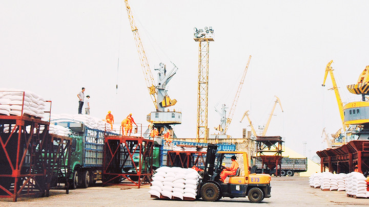 Các doanh nghiệp xuất khẩu gạo đang gặp khó khăn trong huy động nguồn hàng. Ảnh: BẮC SƠN