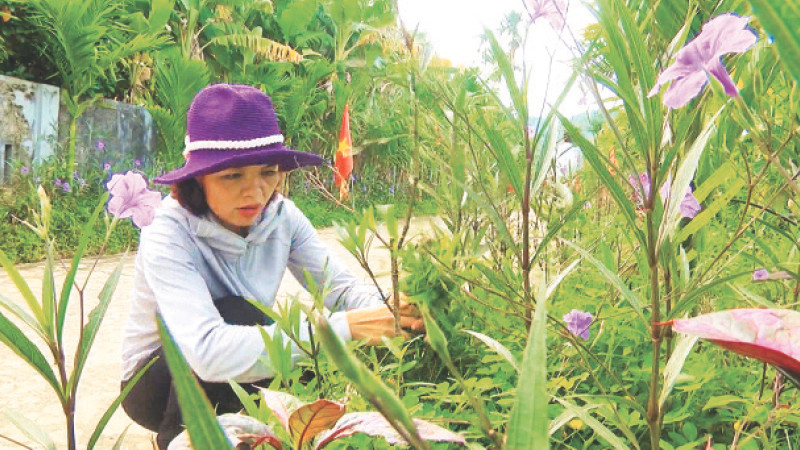 Người dân thôn An Long trồng cây xanh, trồng hoa trên hành lang các trục đường làng, ngõ xóm.