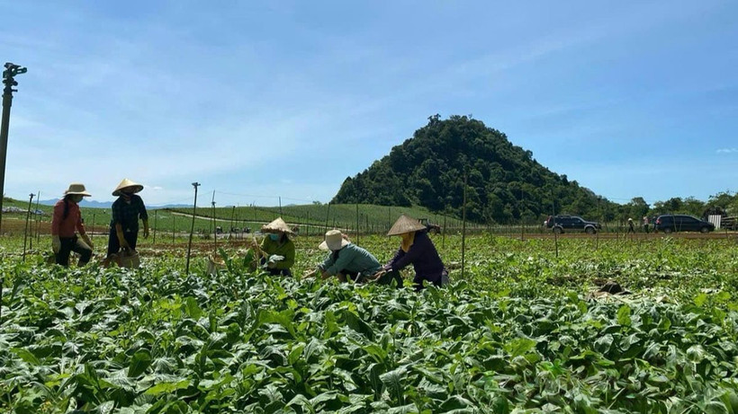 Mường Bi (Tân Lạc) là một trong bốn vùng Mường lớn của tỉnh Hòa Bình. Về Tân Lạc dịp cuối năm, chúng tôi nhận thấy một không khí phấn khởi, rộn ràng đang bừng lên trên mảnh đất giàu truyền thống của tỉnh Tây Bắc này.