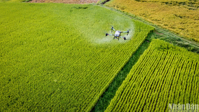 Báo cáo Hiện trạng môi trường Việt Nam 2023 do Bộ Tài nguyên và Môi trường vừa công bố đề xuất triển khai các giải pháp ưu tiên phát triển nông nghiệp và nông thôn gắn với bảo vệ môi trường và phát triển bền vững. 