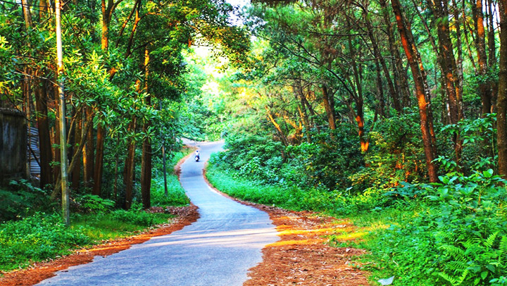 Tìm một lối vào