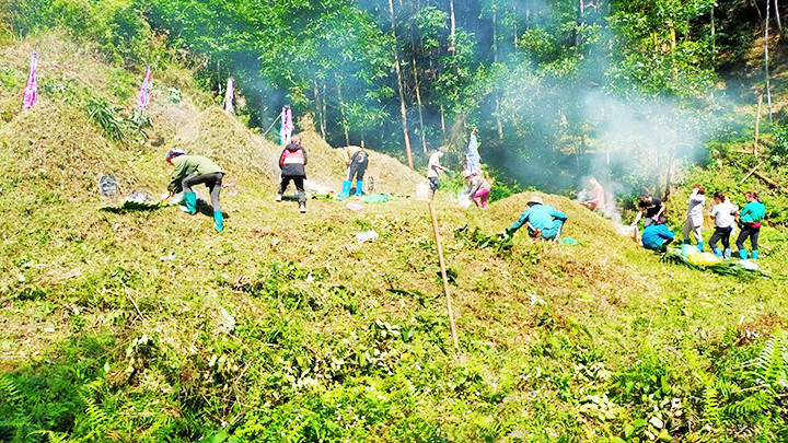 Tảo mộ ở huyện Chợ Đồn vào ngày 3 tháng 3 âm lịch. Ảnh: HƯƠNG LIỄU