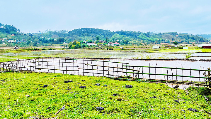 Dung dị với Kon Vơng Kia